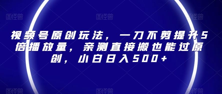 视频号原创玩法，一刀不剪提升5倍播放量，亲测直接搬也能过原创，小白日入500+【揭秘】-搞钱日记