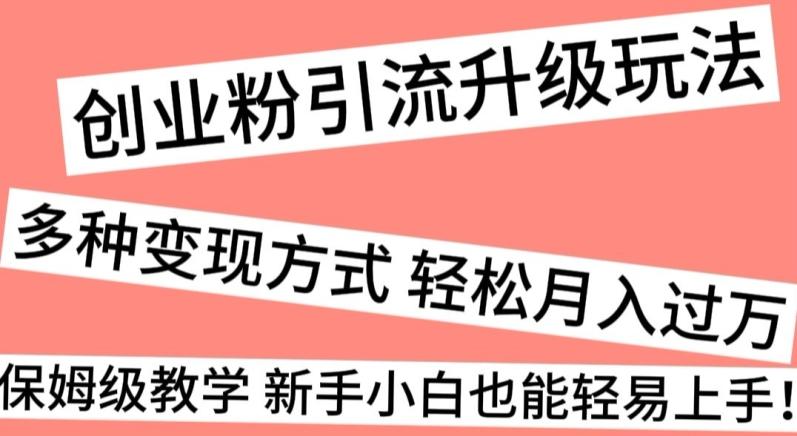 创业粉引流升级玩法，多种变现方式轻松月入过万，保姆级教学新手小白也能轻易上手！-搞钱日记