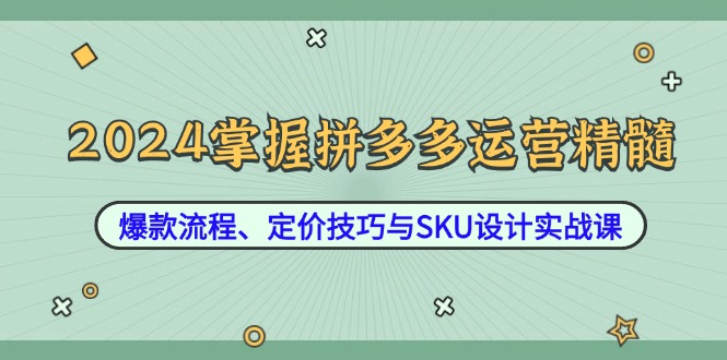 2024掌握拼多多运营精髓：爆款流程、定价技巧与SKU设计实战课-搞钱日记