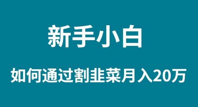 (9308期)新手小白如何通过割韭菜月入 20W-搞钱日记