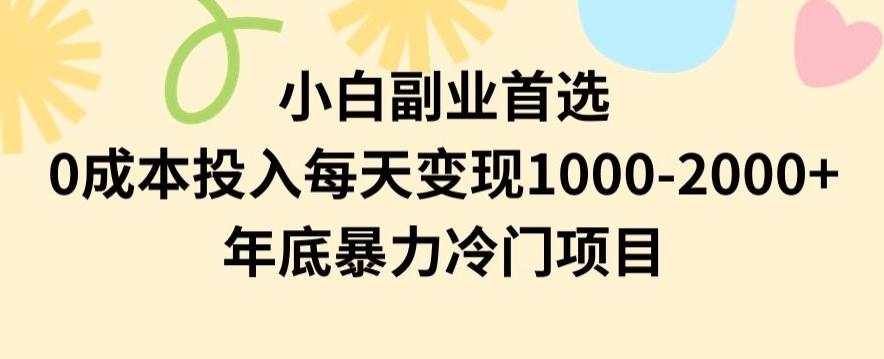 小白副业首选，0成本投入，每天变现1000-2000年底暴力冷门项目【揭秘】-搞钱日记