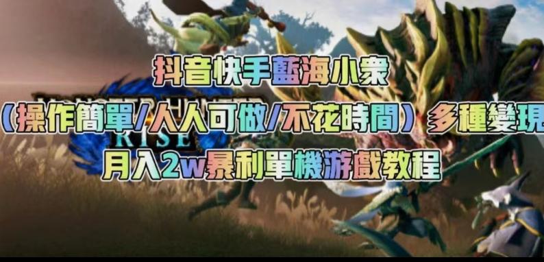 抖音快手蓝海小众（操作简单人人可做不花时间）多种变现月入2w＋暴利单机游戏教程-搞钱日记