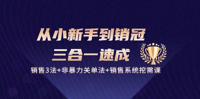 从小新手到销冠 三合一速成：销售3法+非暴力关单法+销售系统挖需课 (27节-搞钱日记
