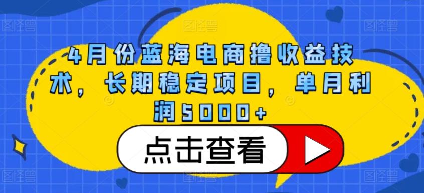 4月份蓝海电商撸收益技术，长期稳定项目，单月利润5000+【揭秘】-搞钱日记
