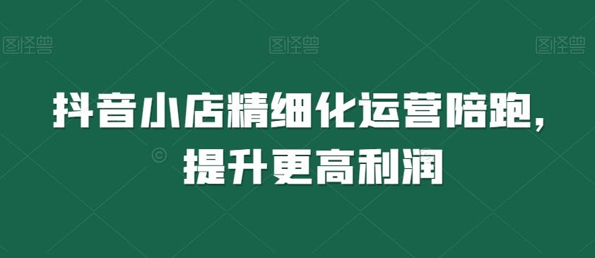 抖音小店精细化运营陪跑，提升更高利润-搞钱日记