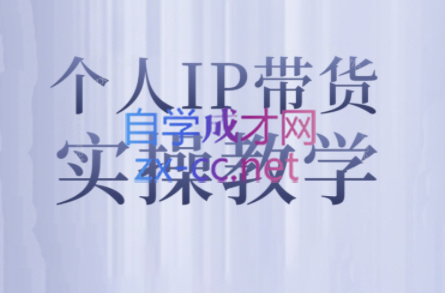 萌神姐姐·个人IP真人出镜短视频实操课-搞钱日记