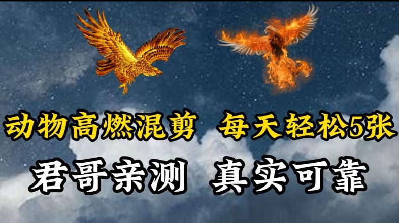 动物超燃混剪，每天轻松5张，剪辑简单大家爱看【揭秘】-搞钱日记
