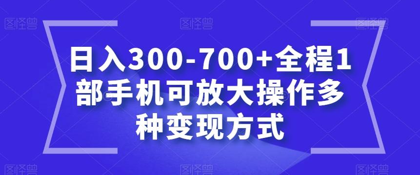 日入300-700+全程1部手机可放大操作多种变现方式【揭秘】-搞钱日记