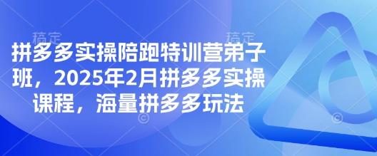 拼多多实操陪跑特训营弟子班，2025年2月拼多多实操课程，海量拼多多玩法-搞钱日记