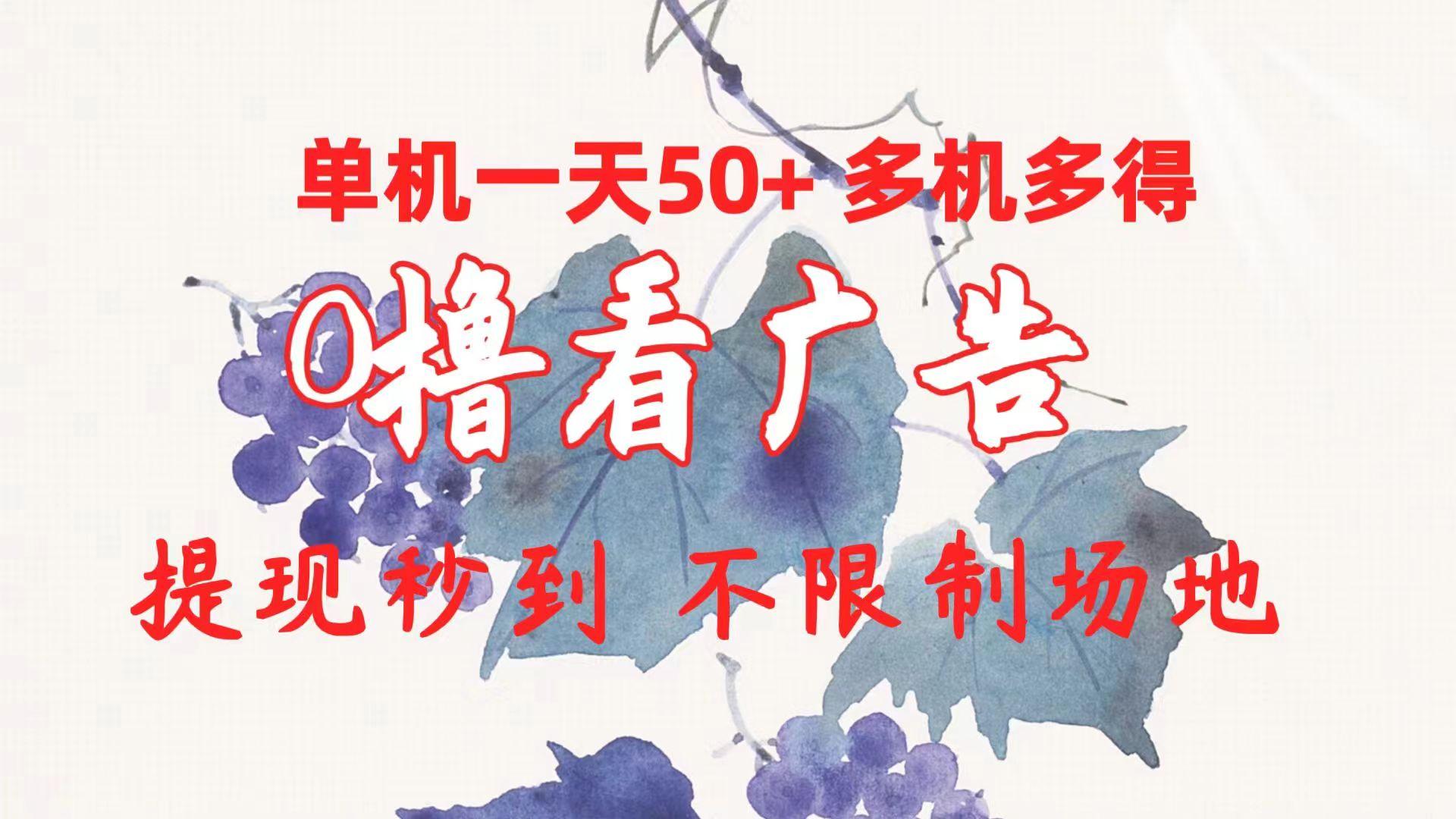 0撸看广告 单机一天50+多机多得 提现秒到 不限制场地操作-搞钱日记