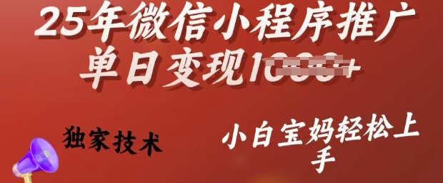 25年微信小程序推广单日变现多张，独家技术，小白宝妈轻松上手【揭秘】-搞钱日记