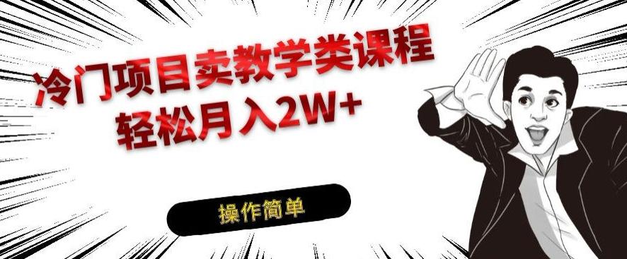 冷门项目卖教学类课程，轻松月入2W+-搞钱日记