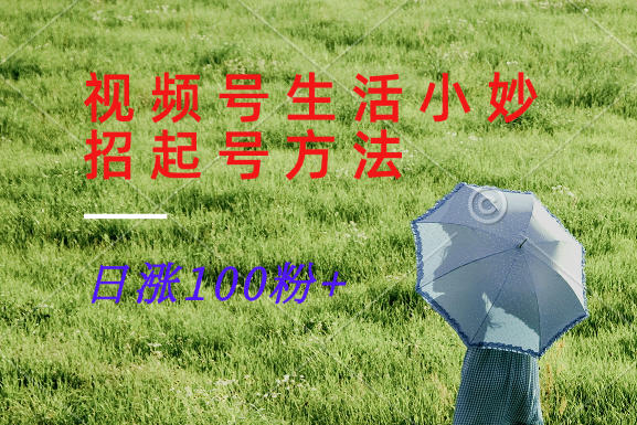 视频号生活小妙招分享赛道， 起号涨粉新方法，日涨100粉-搞钱日记