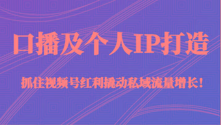 口播及个人IP打造，抓住视频号红利撬动私域流量增长！（45节课）-搞钱日记