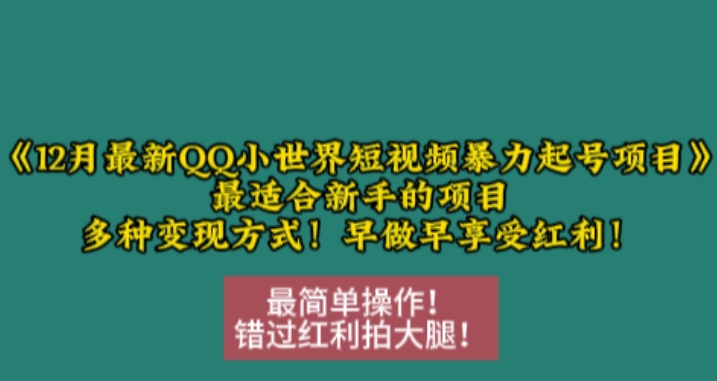 12月最新QQ小世界短视频暴力起号项目，最适合新手的项目，多种变现方式-搞钱日记
