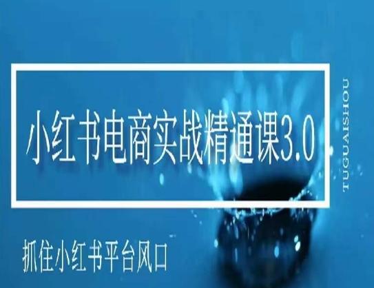 小红书电商实战精通课3.0，抓住小红书平台的风口，不错过有一个赚钱的机会-搞钱日记