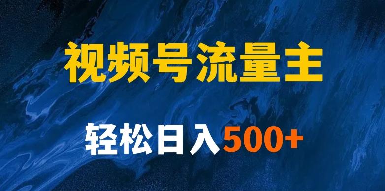 揭秘视频号创作者分成计划，带你玩赚视频号流量主！新手也能月入1w+-搞钱日记