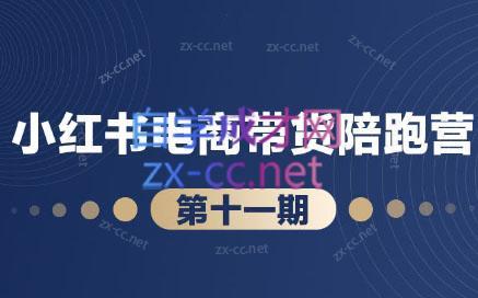 盗坤·小红书电商带货陪跑营(第十一期)-搞钱日记