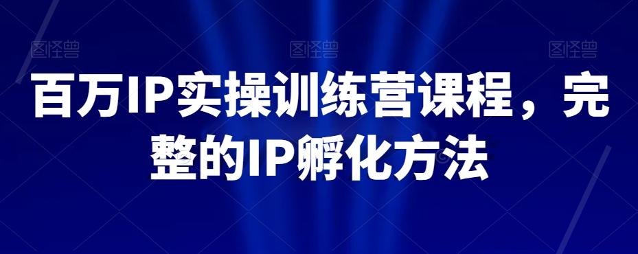 百万IP实操训练营课程，完整的IP孵化方法-搞钱日记
