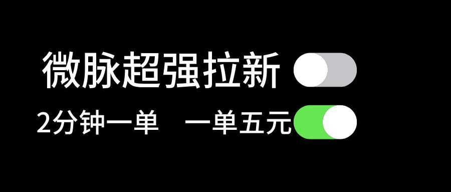微脉超强拉新， 两分钟1单， 一单利润5块，适合小白-搞钱日记