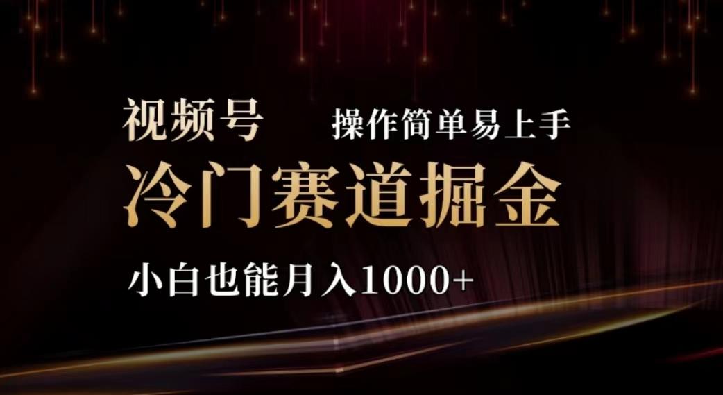 2024视频号冷门赛道掘金，操作简单轻松上手，小白也能月入1000+-搞钱日记