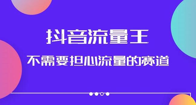 抖音流量王，不需要担心流量的赛道，美女图文音乐号升级玩法（附实操+养号流程）-搞钱日记