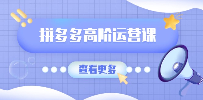 拼多多高阶运营课：极致群爆款玩法，轻付费无尽复制，打造单品爆款之路-搞钱日记