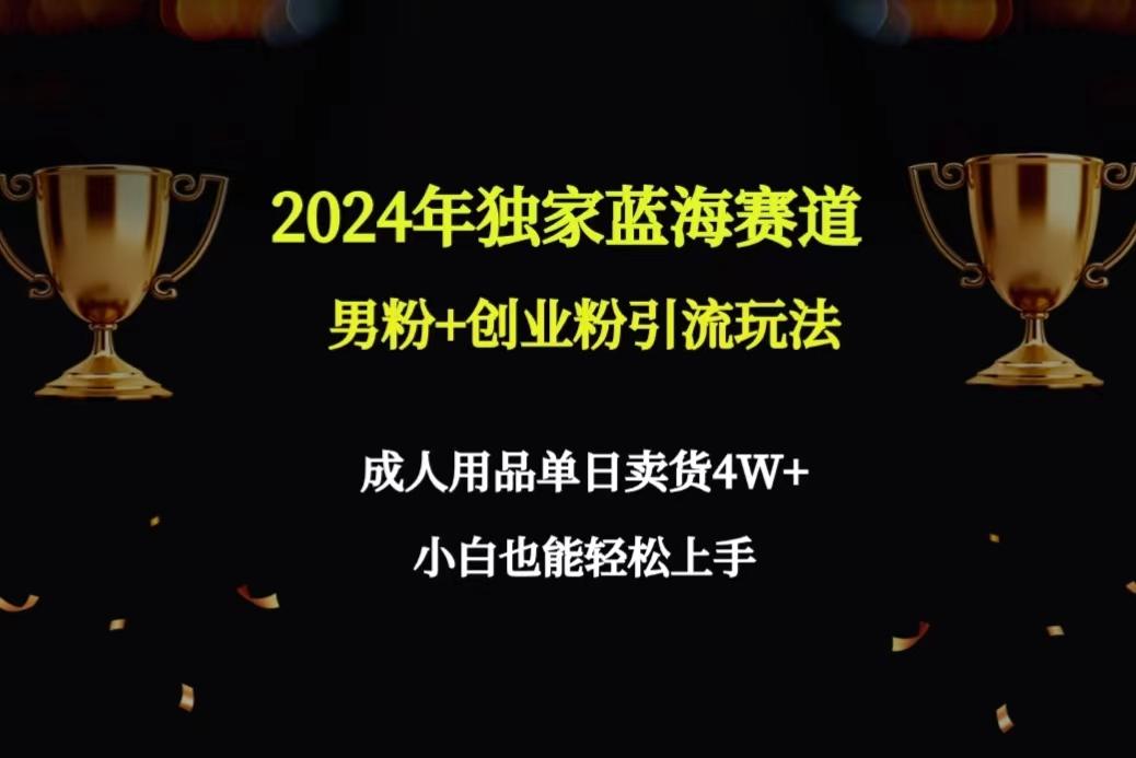 2024年独家蓝海赛道男粉+创业粉引流玩法，成人用品单日卖货4W+保姆教程-搞钱日记
