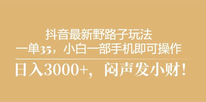 抖音最新野路子玩法，一单35，小白一部手机即可操作，，日入3000+，闷...-搞钱日记
