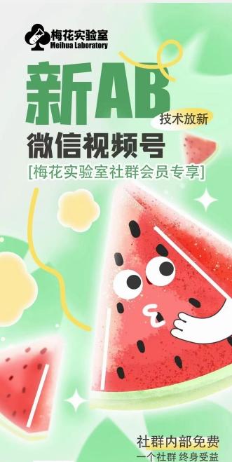 梅花实验室2024年AB技术视频号AB合成破解版-搞钱日记