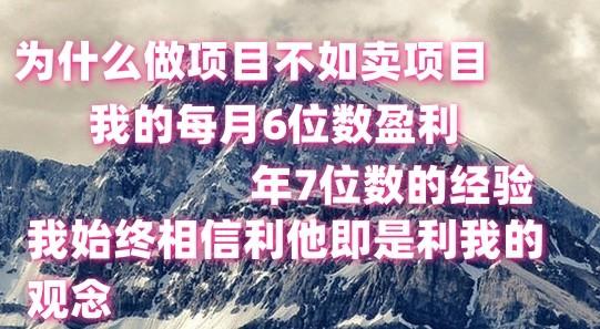 做项目不如卖项目，每月6位数盈利，年7位数经验-搞钱日记