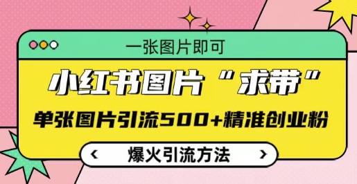 小红书图片‘求带’爆火引流法，单张图片引流500+精准创业粉【揭秘】-搞钱日记