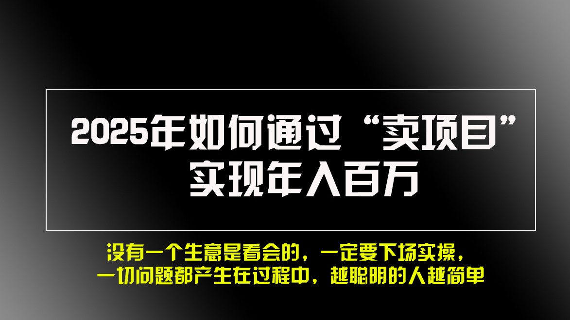 2025年如何通过“卖项目”实现年入百万-搞钱日记