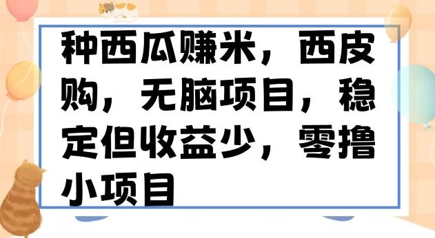 种西瓜赚米，西皮购稳定长久零撸小项目-搞钱日记