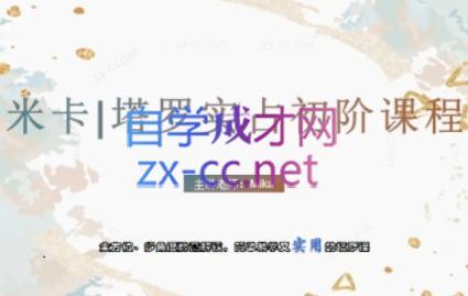 米卡·实占塔罗初阶课-搞钱日记