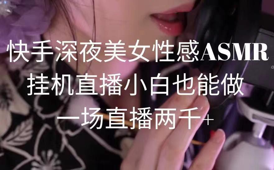 快手深夜美女性感ASMR挂机直播，小白也能做，一场直播两千+-搞钱日记