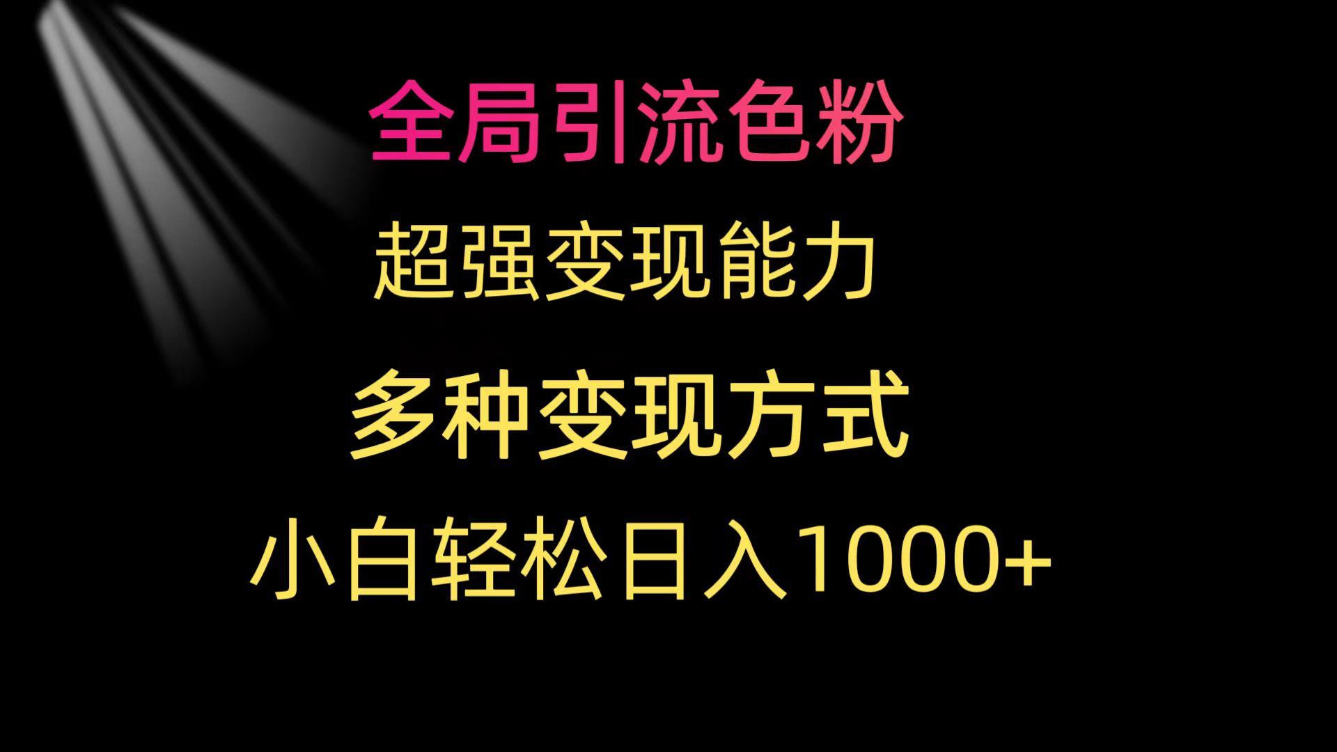(9680期)全局引流色粉 超强变现能力 多种变现方式 小白轻松日入1000+-搞钱日记