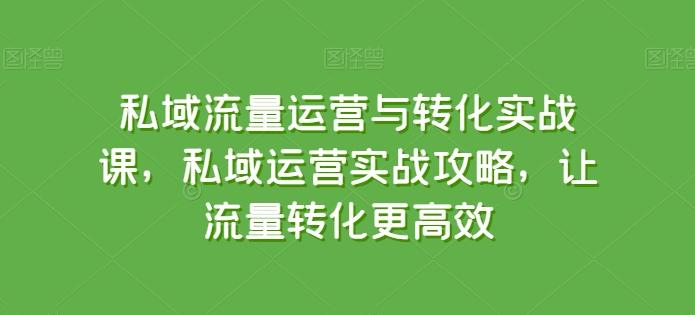 私域流量运营与转化实战课，私域运营实战攻略，让流量转化更高效-搞钱日记