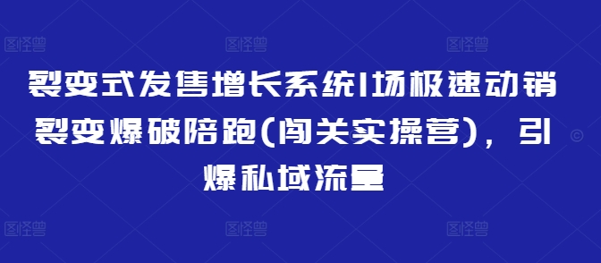 裂变式发售增长系统1场极速动销裂变爆破陪跑(闯关实操营)，引爆私域流量-搞钱日记