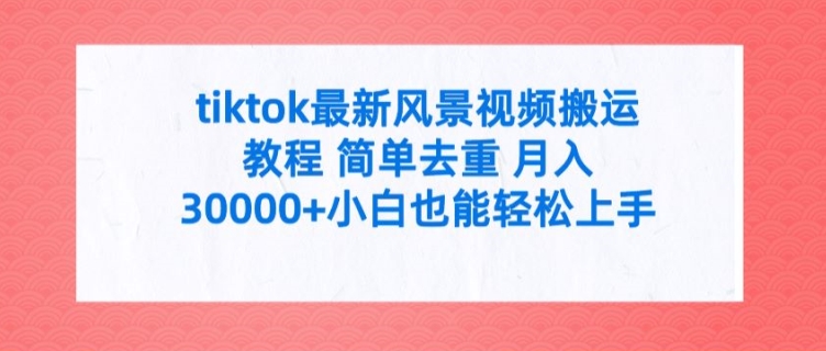 tiktok最新风景视频搬运教程 简单去重 月入3W+小白也能轻松上手【揭秘】-搞钱日记