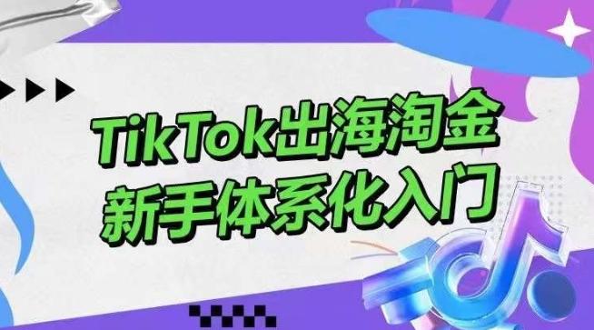 TikTok出海淘金，新手体系化入门，零基础快速入门，掌握短视频、直播带货等引流到变现的知识-搞钱日记