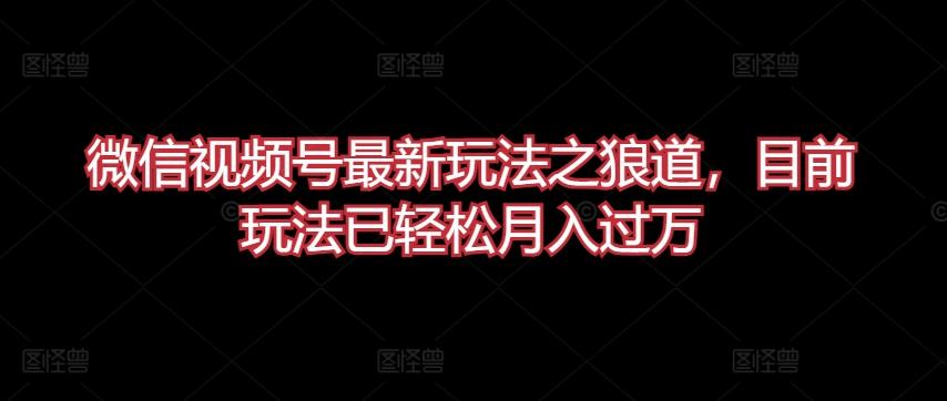 微信视频号最新玩法之狼道，目前玩法已轻松月入过万【揭秘】-搞钱日记