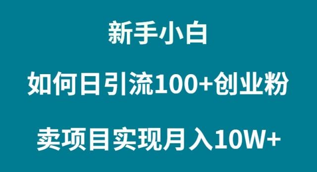 (9556期)新手小白如何通过卖项目实现月入10W+-搞钱日记