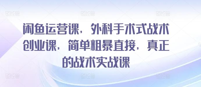 闲鱼运营课，外科手术式战术创业课，简单粗暴直接，真正的战术实战课-搞钱日记