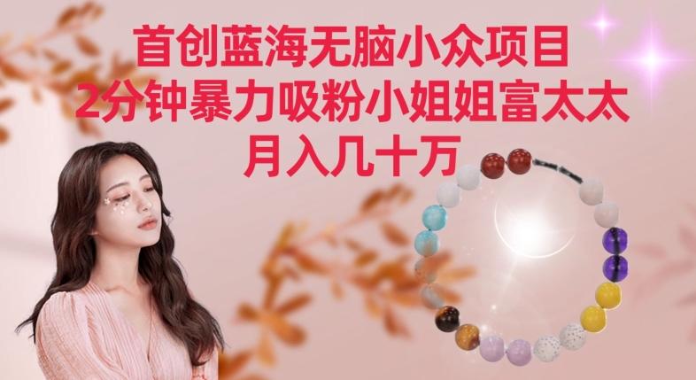 首创蓝海无脑小众项目，2分钟暴力吸粉小姐姐富太太，月入几十万【揭秘】-搞钱日记