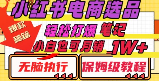 小红书电商爆款选品秘籍，帮你轻松打爆笔记，小白也可轻松月销10000+-搞钱日记