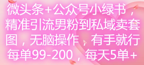 微头条+公众号小绿书，精准引流男粉到私域卖套图，无脑操作，有手就行，每单99-200，每天5单-搞钱日记