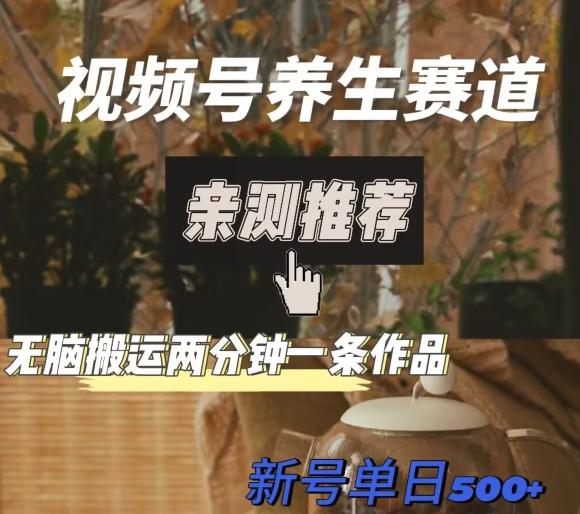 视频号养生赛道暴力掘金，无脑搬运，两分钟一条作品-新日单入500+-搞钱日记