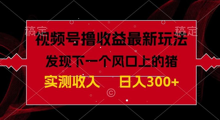 视频号分成计划最新玩法，单条作品几分钟制作完成,日入300+，过年前最后的冲刺-搞钱日记