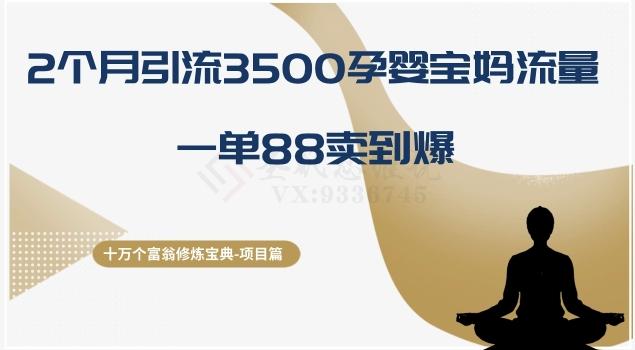 十万个富翁修炼宝典之13.2个月引流3500孕婴宝妈流量，一单88卖到爆-搞钱日记